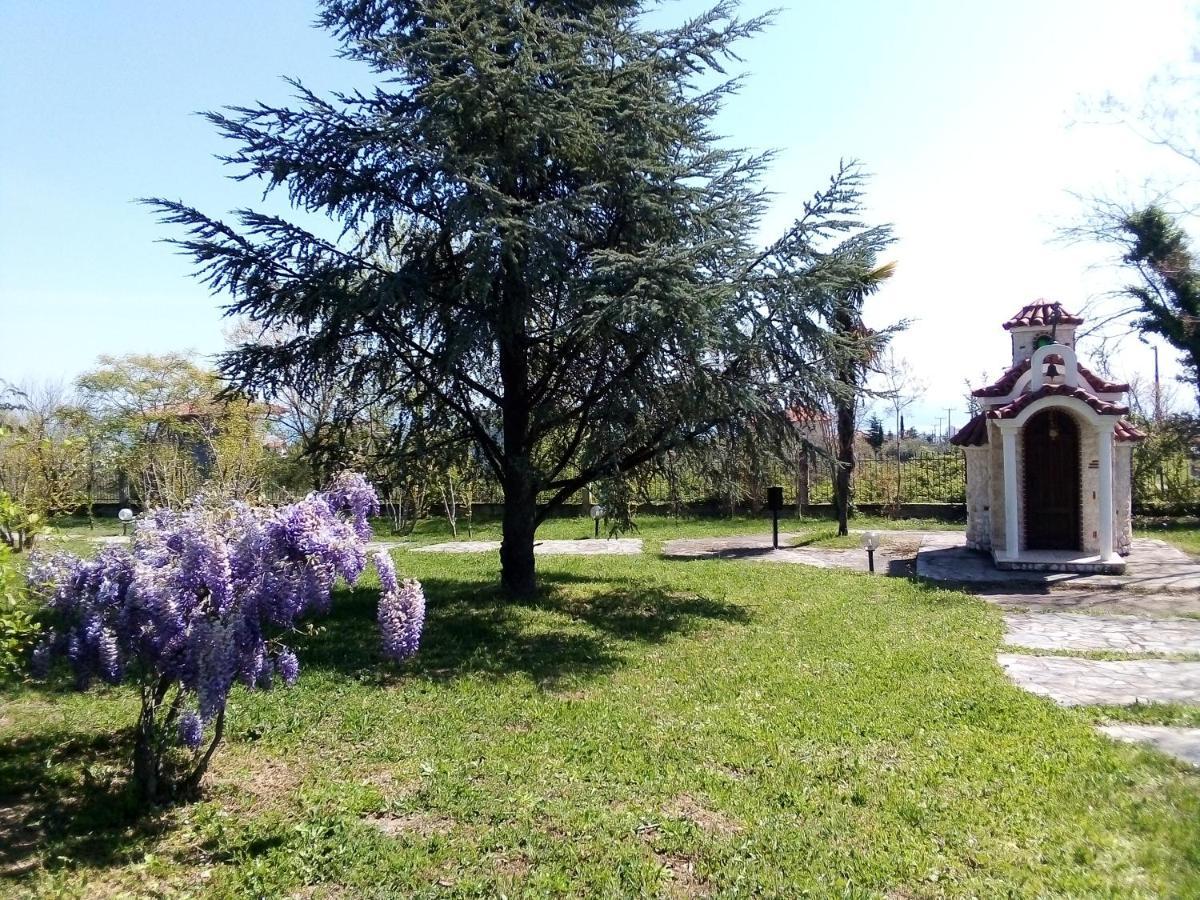 Villa Anna Leptokarya  Exteriör bild